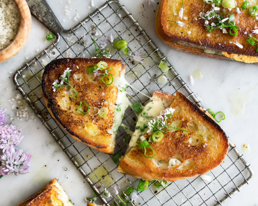 Herbed Fontina Grilled Cheese