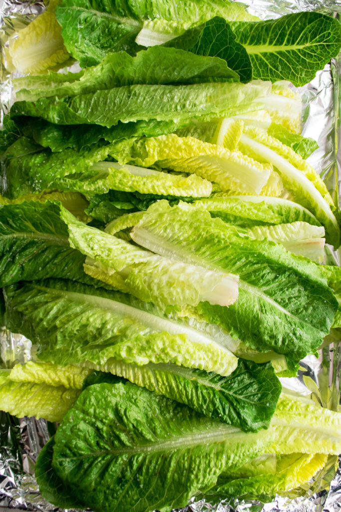 fresh romaine lettuce