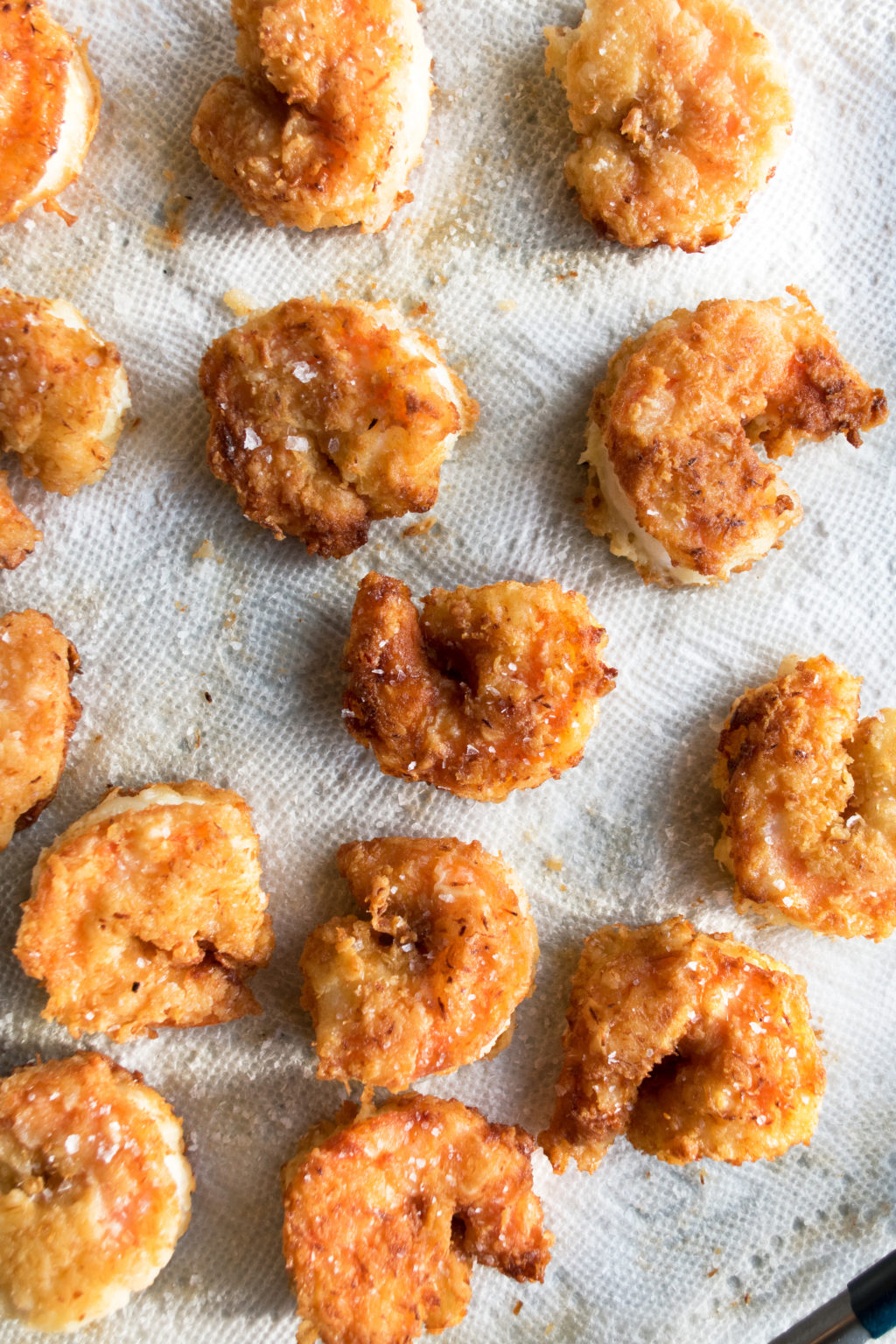 Crispy Coconut Shrimp with Chipotle Mayo The Original Dish