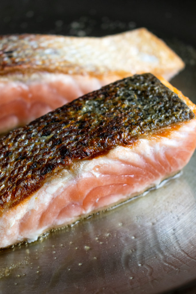 seared salmon