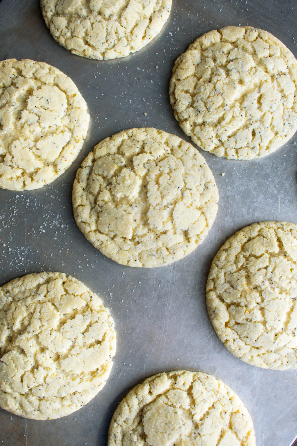 Lemon Poppy Seed Almond Cookies The Original Dish