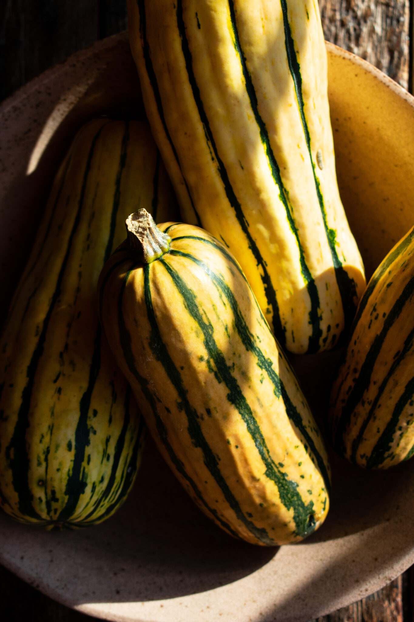 Pomegranate Glazed Delicata Squash with Feta & Pistachios The