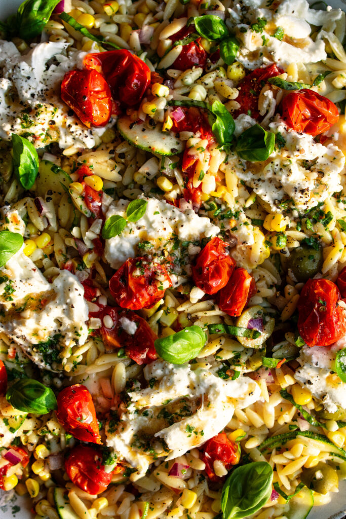 Orzo Salad with Roasted Tomato Vinaigrette with burrata cheese over top